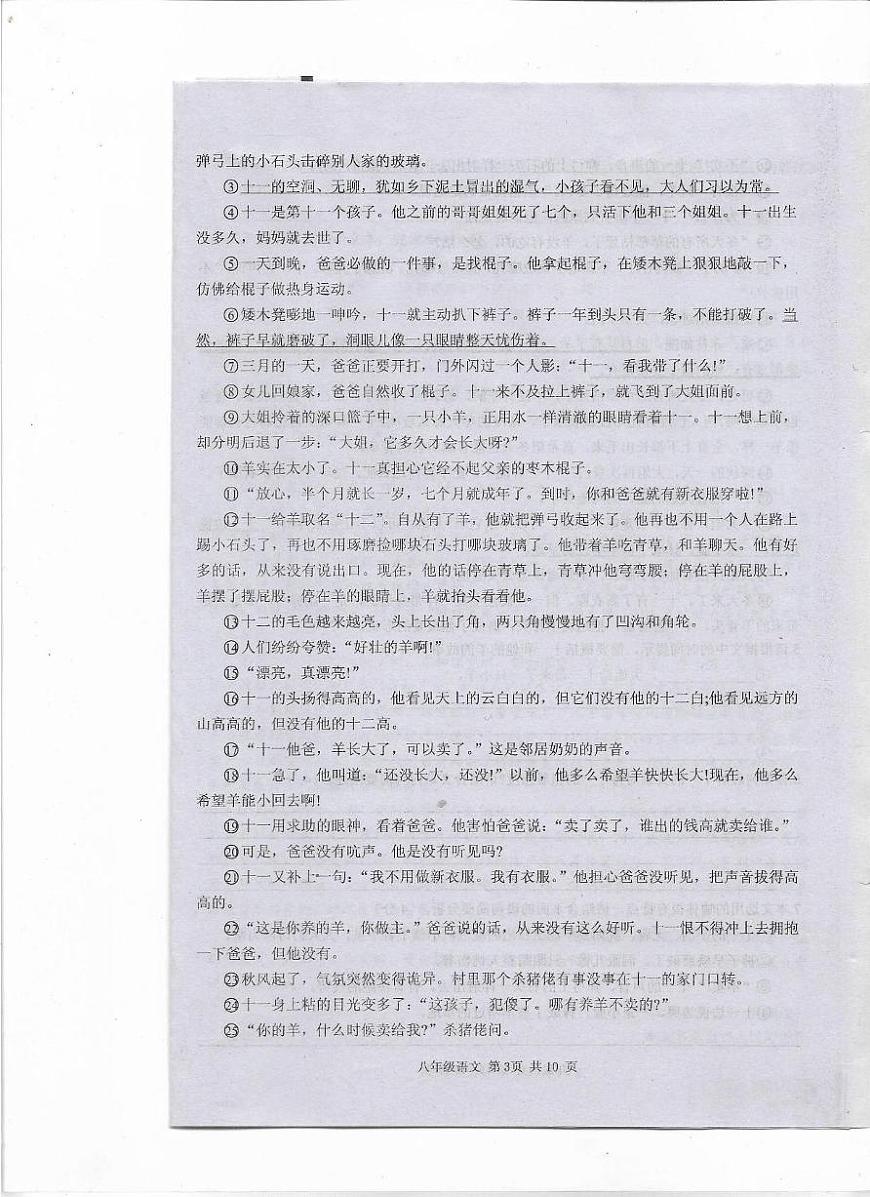 河南省驻马店上蔡县2024-2025学年八年级下学期期中考试语文试题第3页