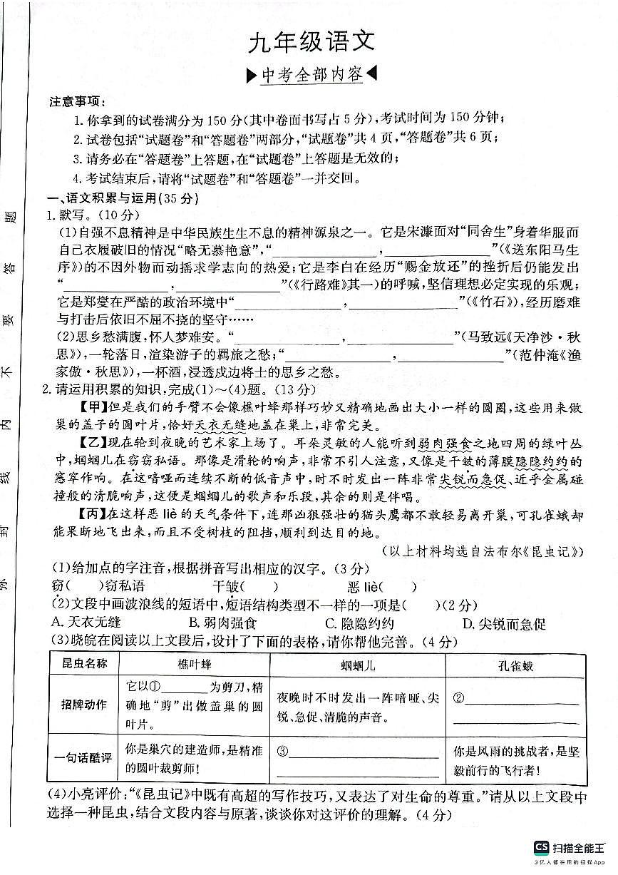 安徽省青阳县部分学校2024-2025学年九年级下学期4月期中考试语文试卷（PDF版，含答案）第1页