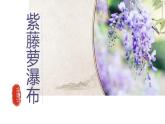 人教部編版七年級下冊語文第五單元19《紫藤蘿瀑布》課件
