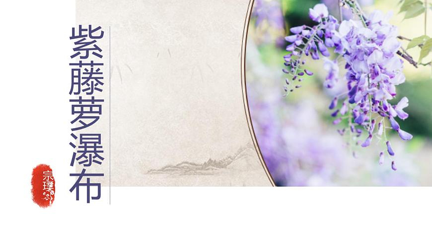 七下19《紫藤萝瀑布》课件第1页