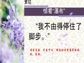人教部編版七年級下冊語文第五單元19《紫藤蘿瀑布》課件
