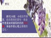 人教部編版七年級下冊語文第五單元19《紫藤蘿瀑布》課件