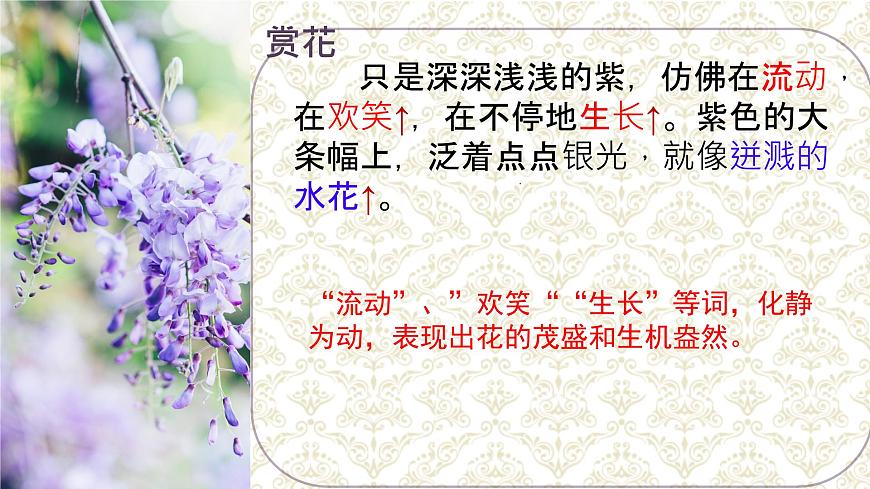 七下19《紫藤萝瀑布》课件第6页