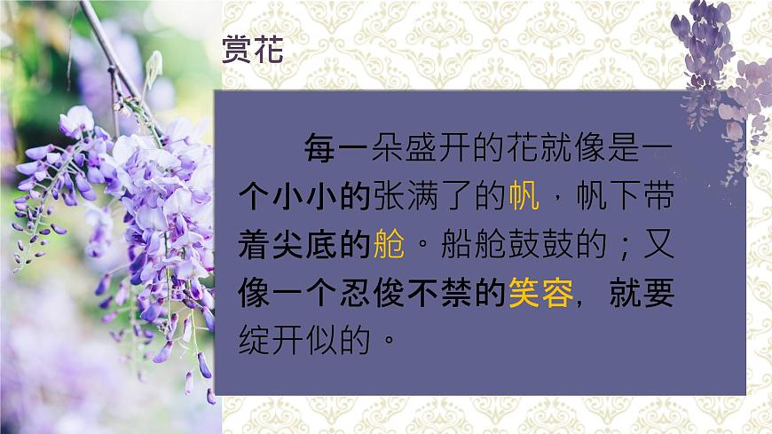 七下19《紫藤萝瀑布》课件第8页