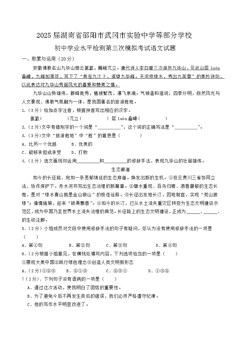 2025届湖南省邵阳市武冈市第三次模拟考试语文试题（含答案）第1页