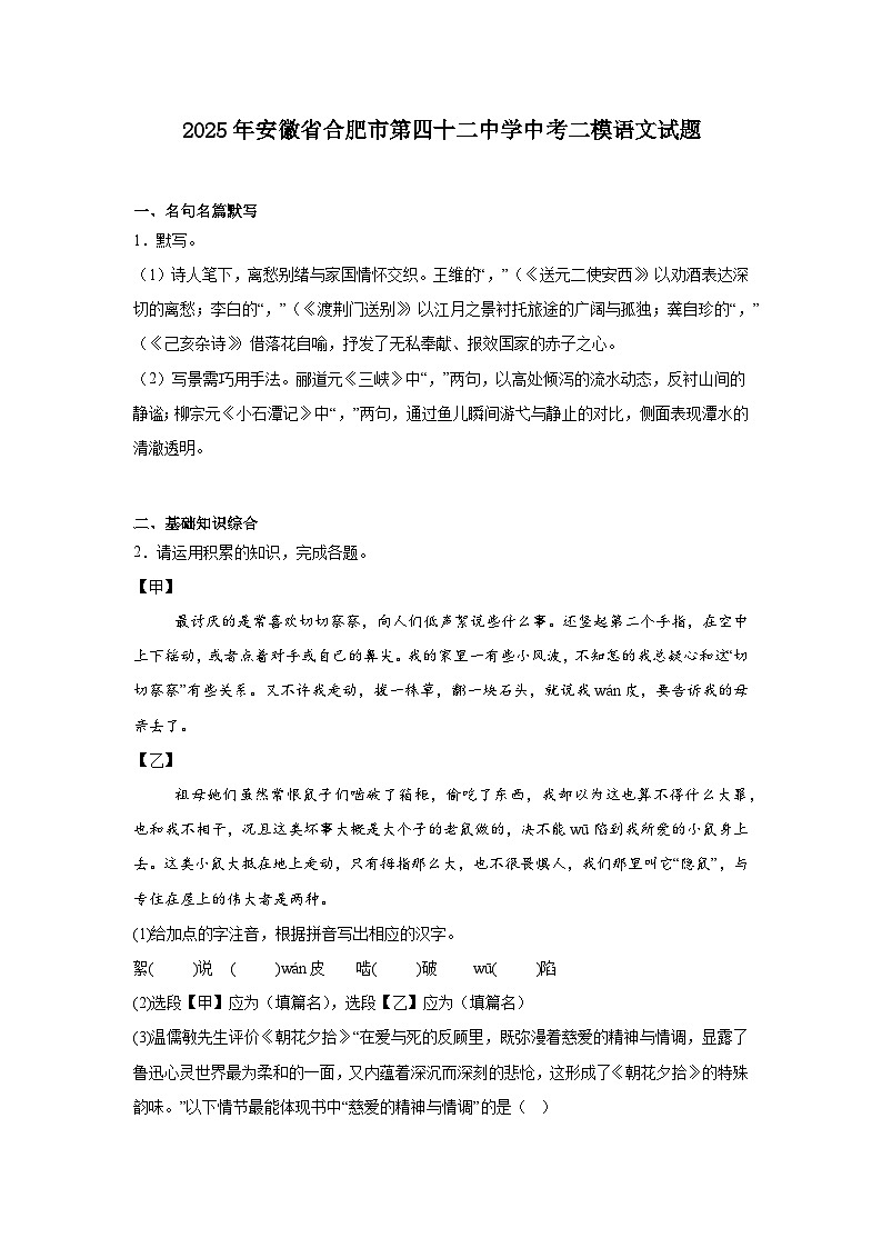 2025年安徽省合肥市第四十二中学中考二模语文试题（含答案）第1页