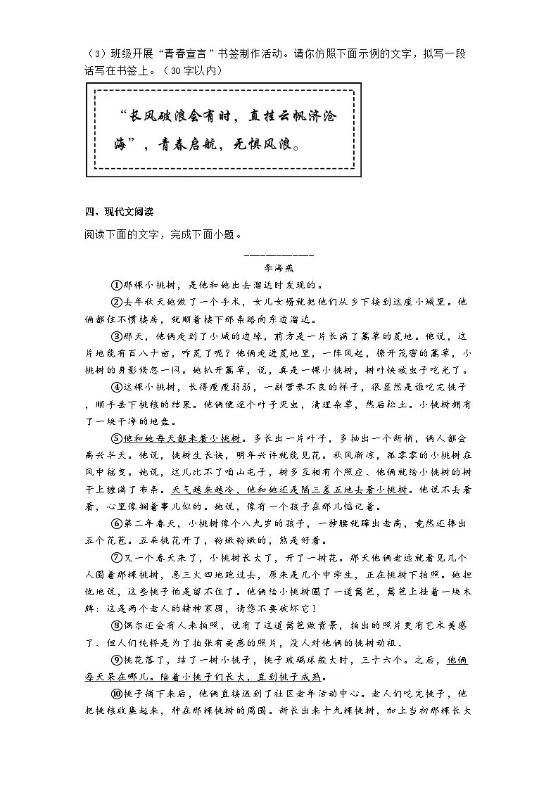 安徽省芜湖市第二十七中学2025年中考二模语文试题（含答案）第3页