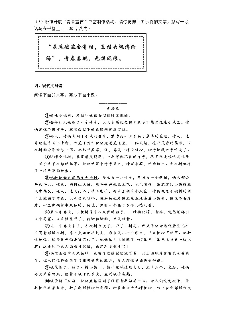 安徽省芜湖市第二十七中学2025年中考二模语文试题（含答案）第3页