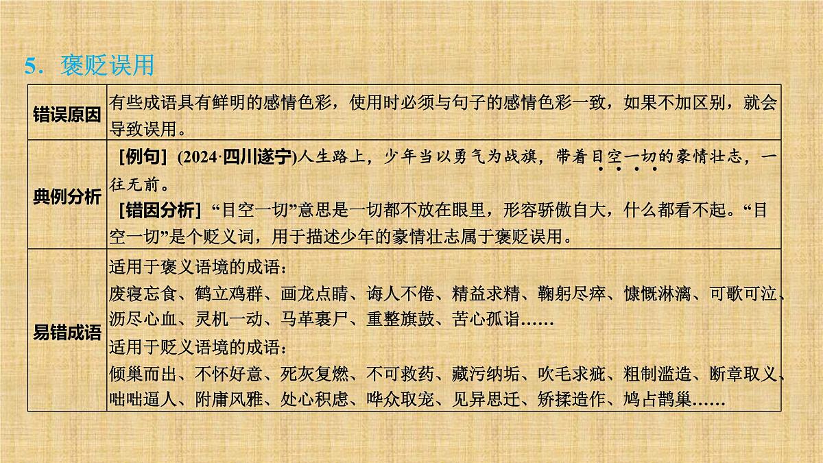 2025年中考语文复习专题 词语运用 课件第6页