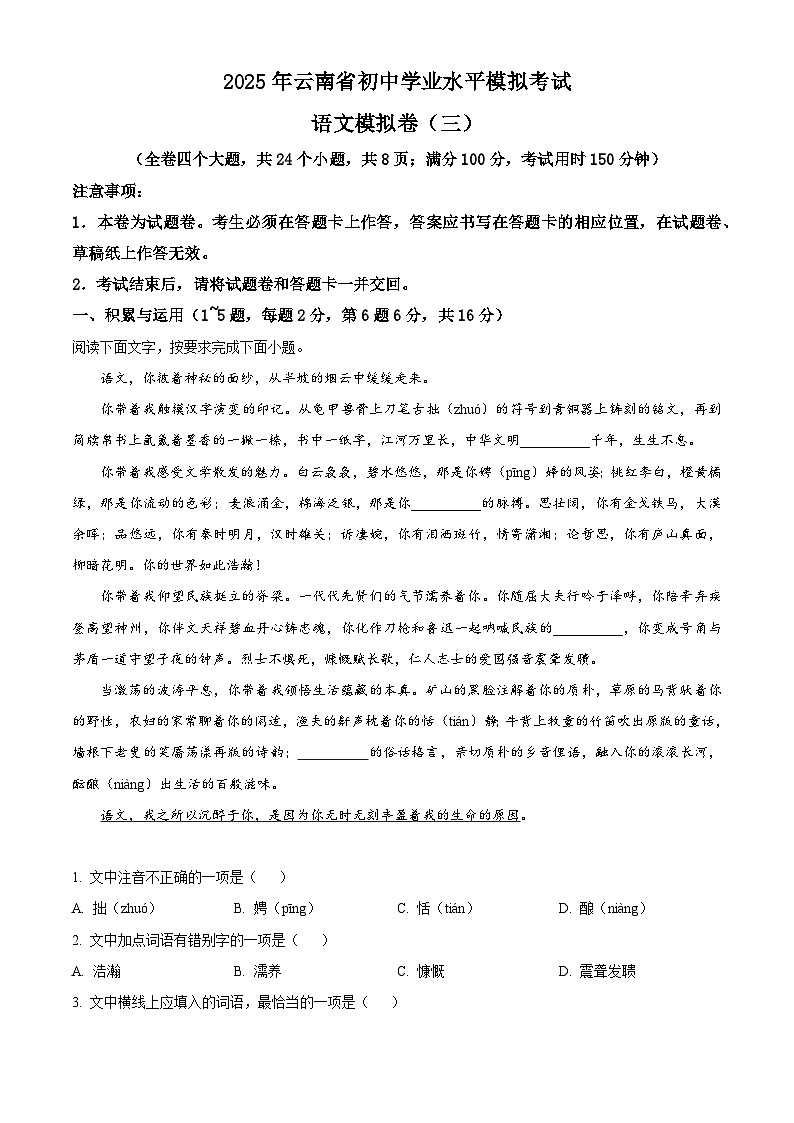 云南省昭通市昭阳区2024-2025学年九年级下学期3月月考语文试题第1页