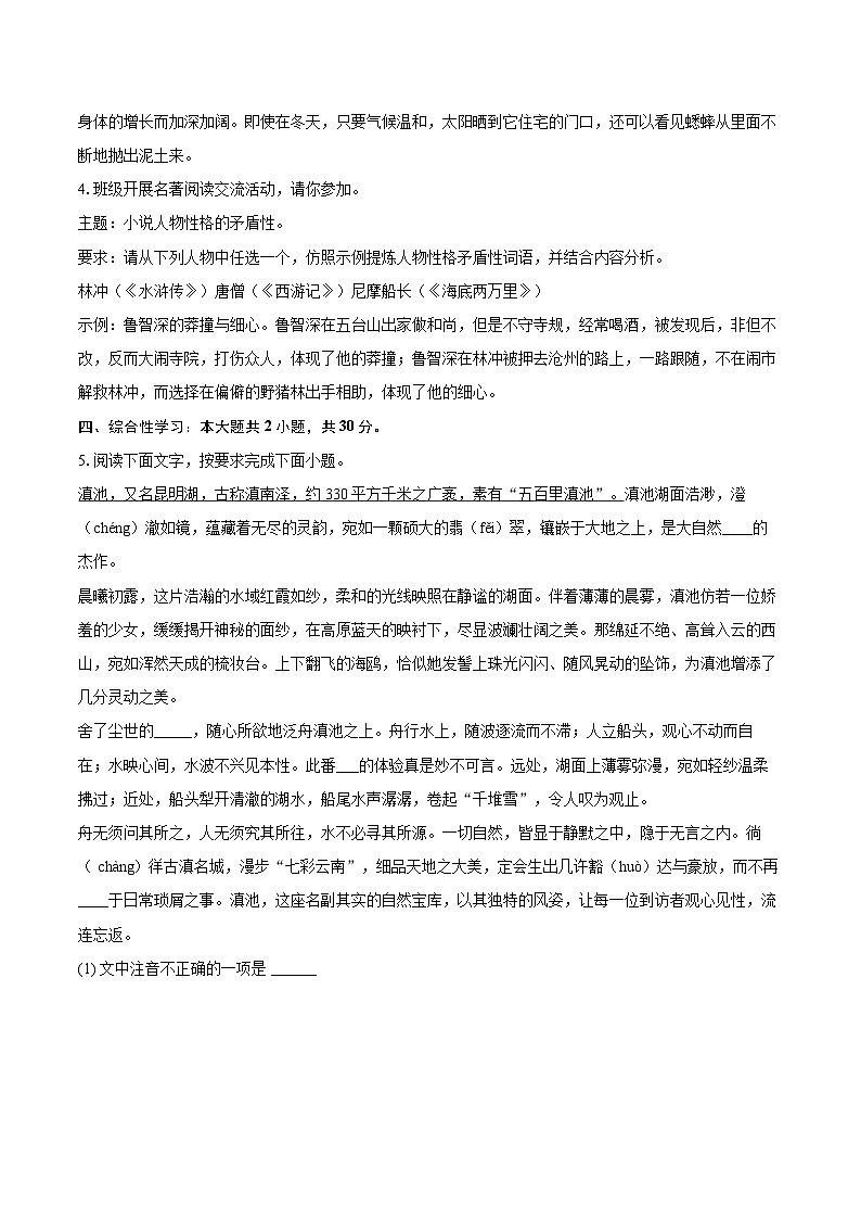 2025年云南省昆明铁路五中等校联考中考语文模拟试卷（含详细答案解析）第2页