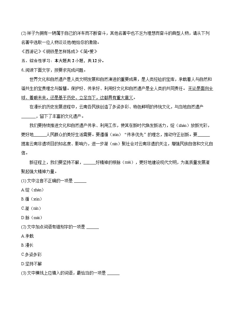 2025年云南省楚雄州楚雄市中考语文一模试卷（含详细答案解析）第3页
