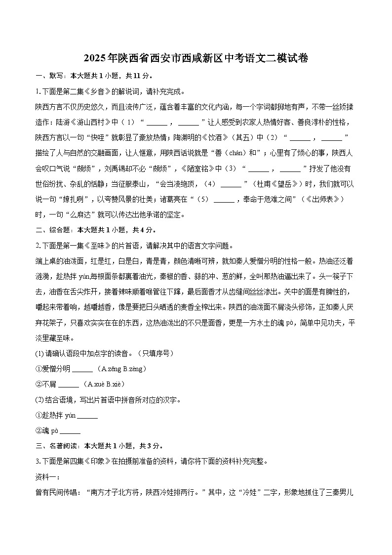 2025年陕西省西安市西咸新区中考语文二模试卷（含详细答案解析）第1页