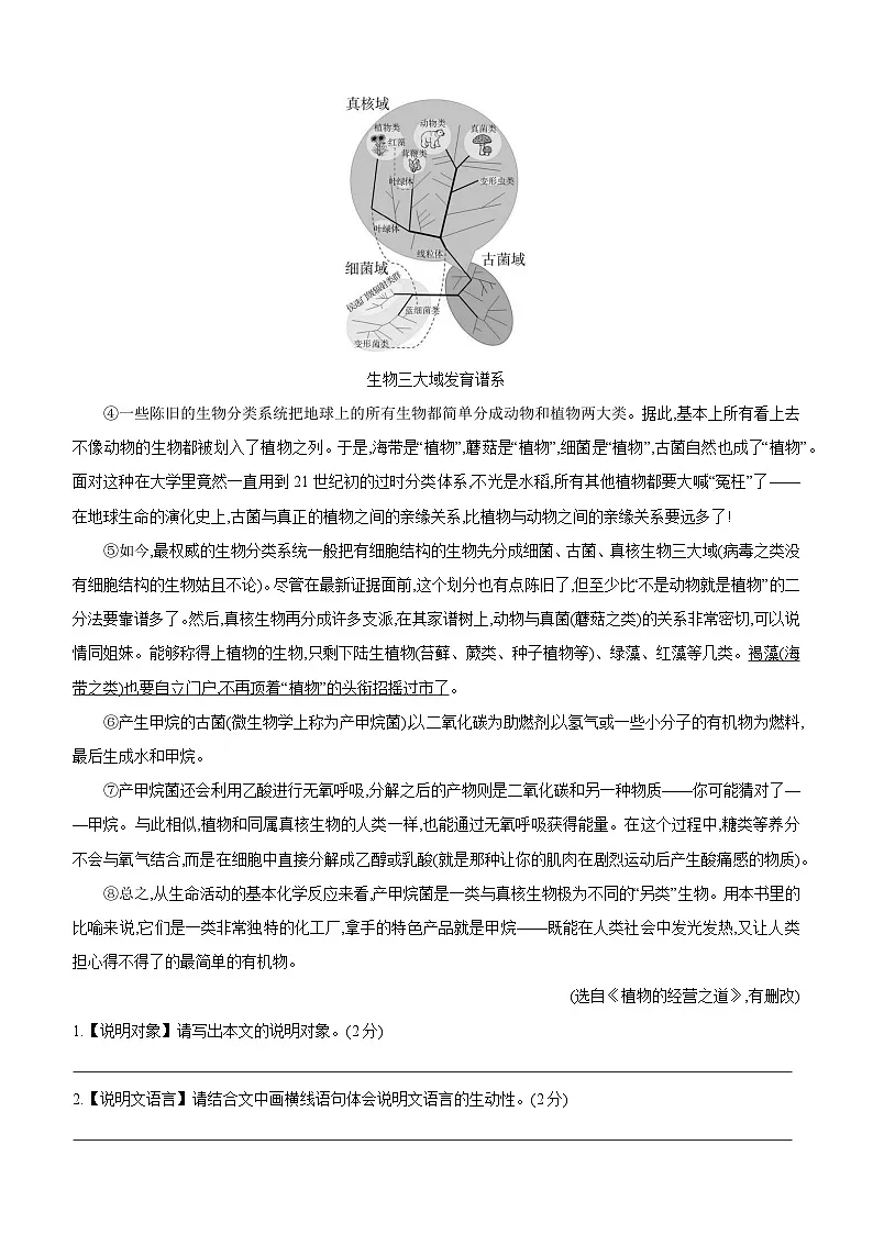 2025年中考语文三轮冲刺：说明文阅读 刷题练习题 （含答案）第3页