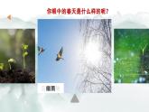 部編版2025-2026年第一學期 七年級 語文上冊 第一單元 1  春  課件