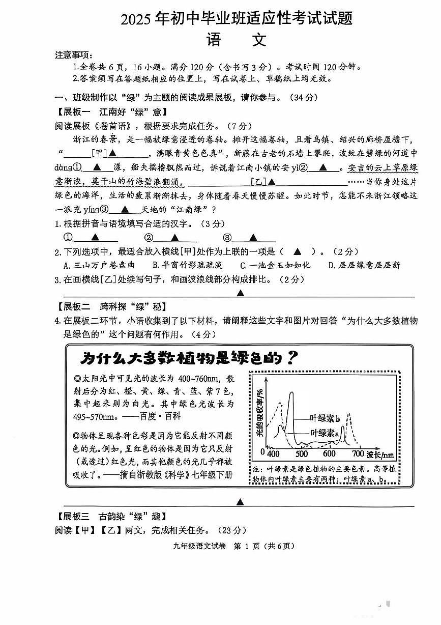 2025年浙江省诸暨市初中毕业生适应性考试语文试题 2025年浙江省诸暨市初中毕业生适应性考试语文试题第1页