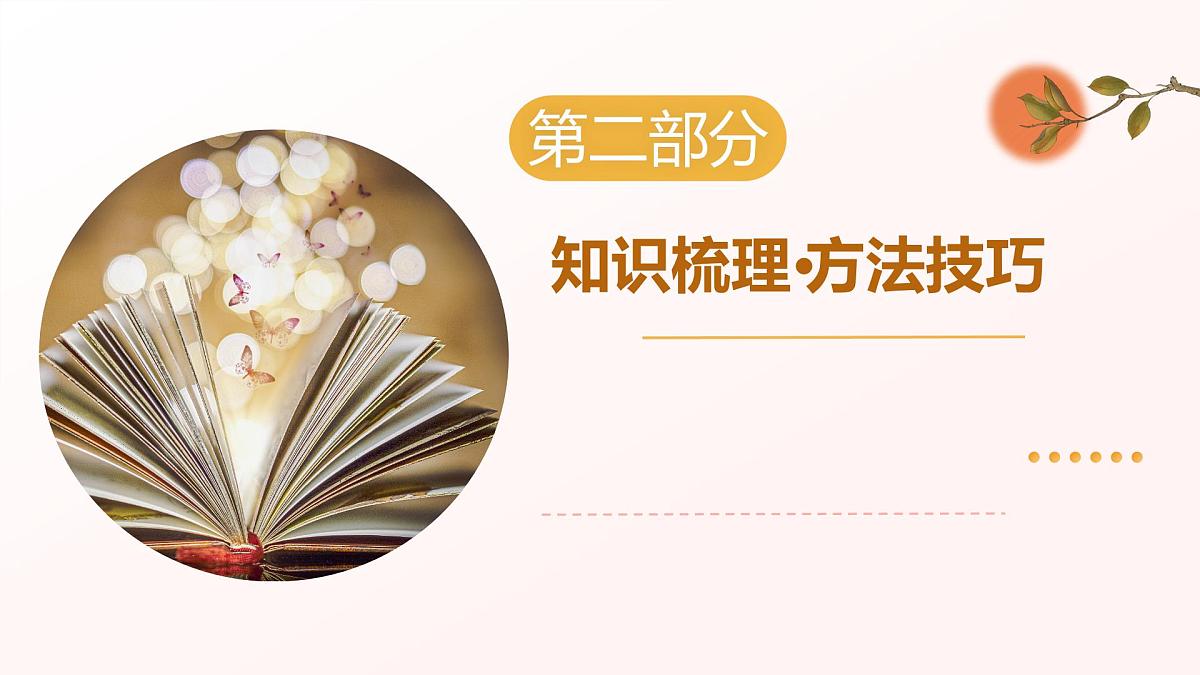 专题07：诗歌鉴赏（考点串讲）-2024-2025学年八年级语文下学期期末考点大串讲（统编版）课件第6页