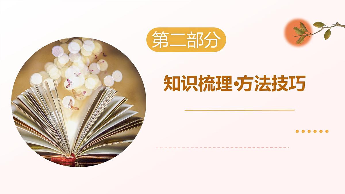 专题06：文言文阅读（考点串讲）2025学年八年级语文下学期期末考点大串讲统编版课件第6页