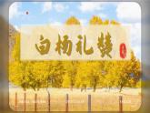 第16課《白楊禮贊》課件編版語文八年級上冊