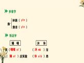 部編版2025-2026年第一學(xué)期 七年級(jí) 語(yǔ)文上冊(cè) 第二單元  7 金色花  課件
