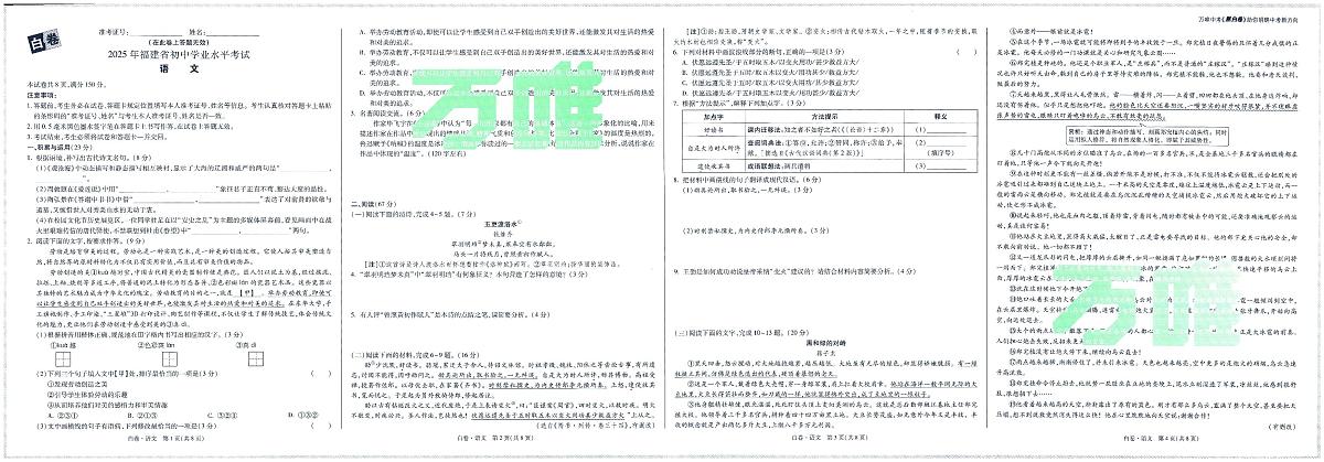 2025版中考万唯黑白卷语文白卷无答案（答案另附）第1页