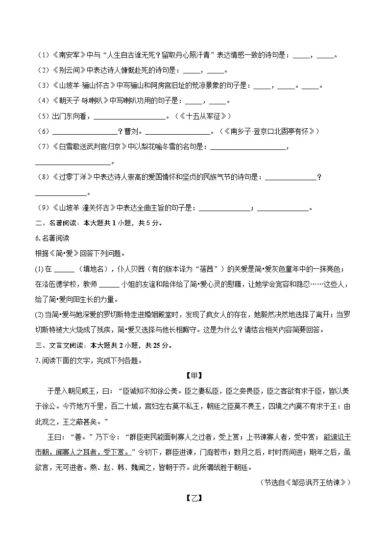 2024-2025学年九年级下学期开学水平调研语文试题第2页