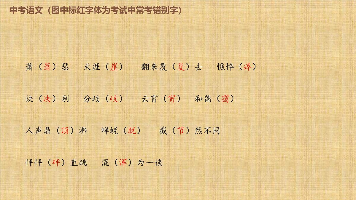 2025年中考语文复习专题《易错字形》课件第2页