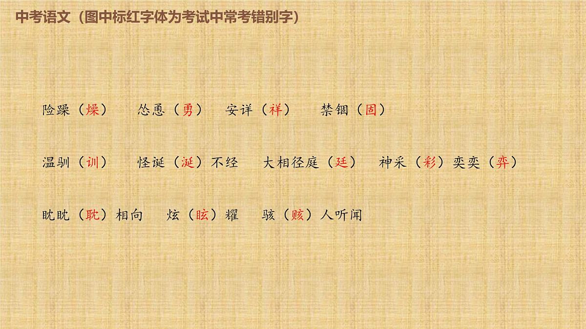 2025年中考语文复习专题《易错字形》课件第4页