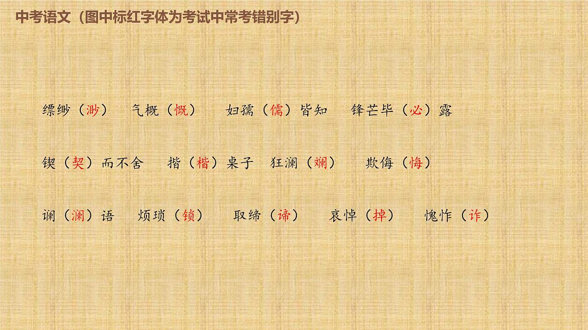 2025年中考语文复习专题《易错字形》课件第5页