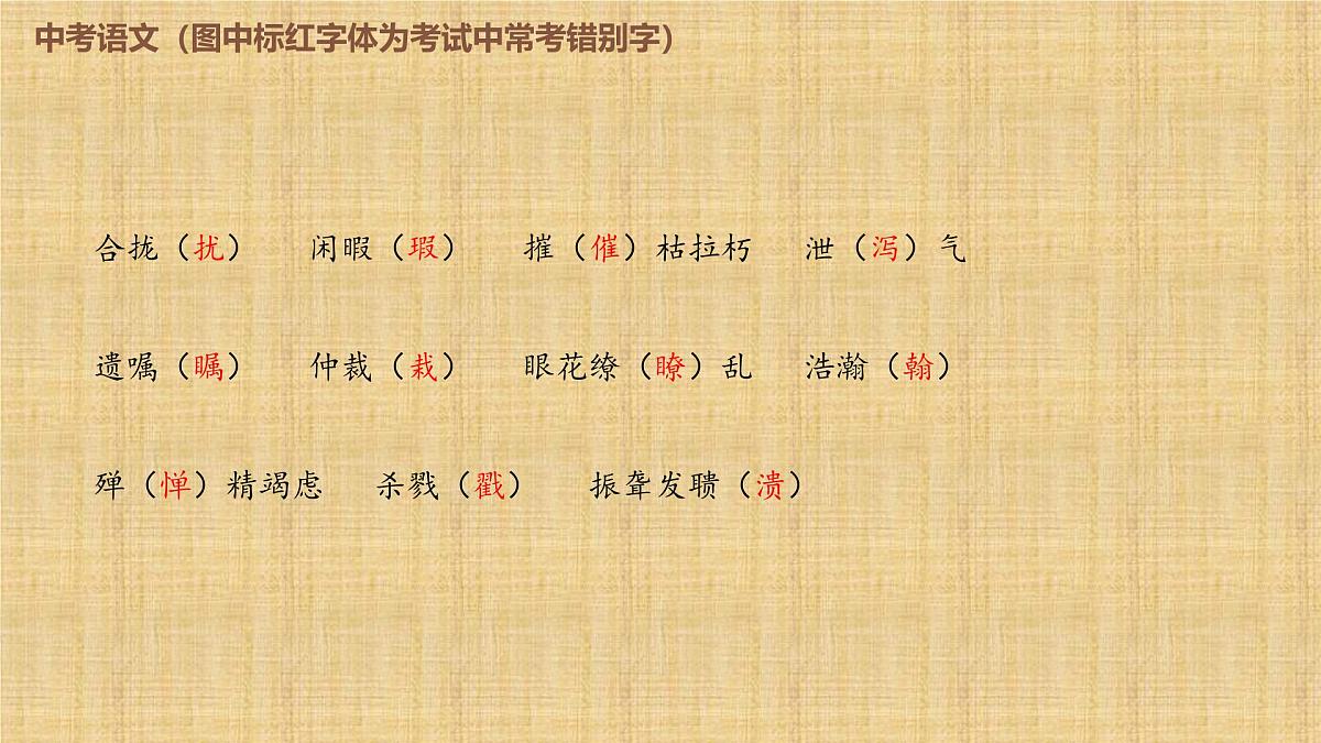 2025年中考语文复习专题《易错字形》课件第7页
