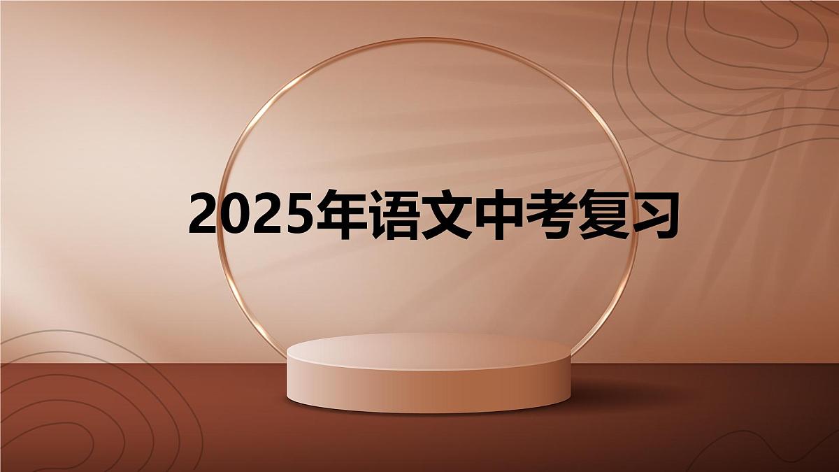 2025年中考语文二轮复习 专题九  文言文阅读（八） 课件第1页