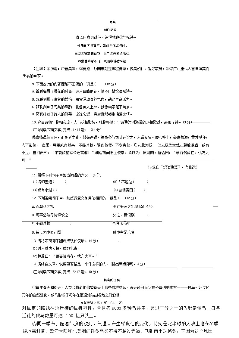 2025年山东省菏泽市曹县中考一模语文试题第3页