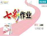 人教部編版（2024）初中語文 七年級下冊  第六單元 適應性評估卷課件PPT