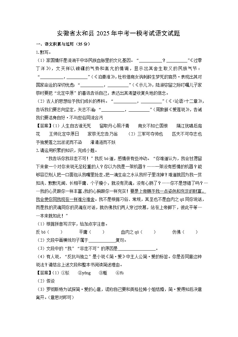安徽省太和县2025年中考一模考试语文试题（解析版）第1页