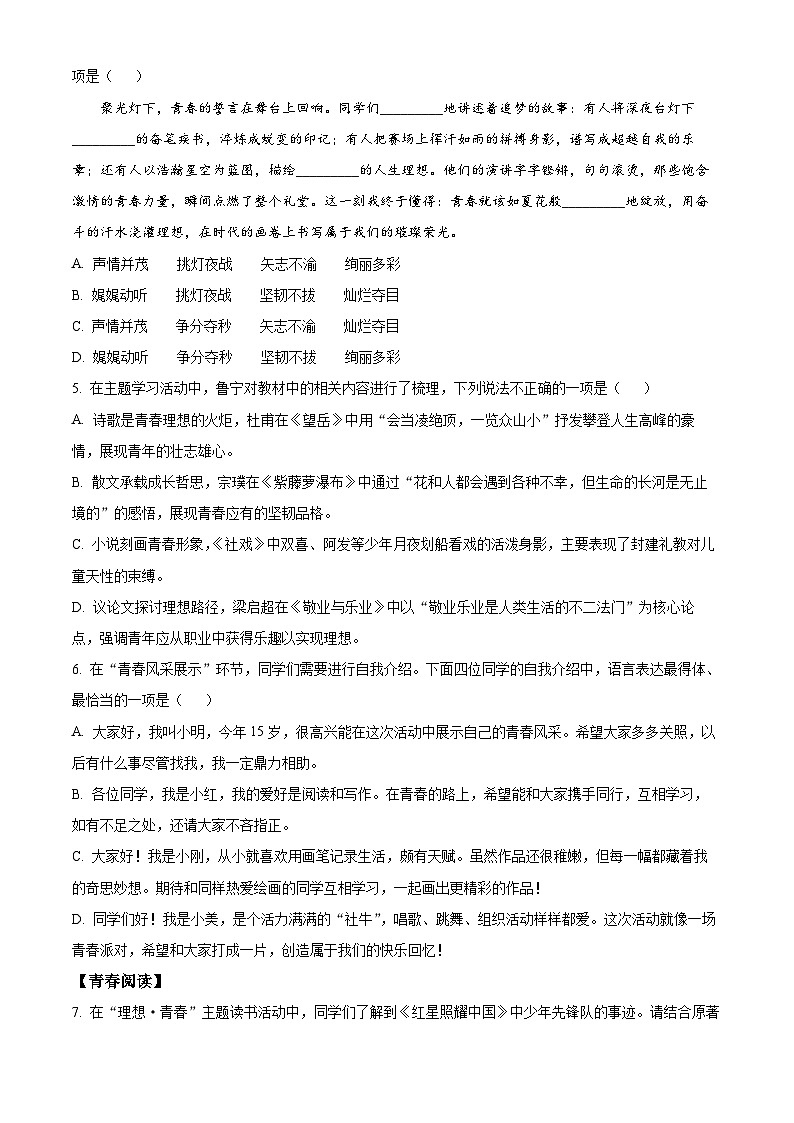 2025年山东省济宁市鱼台县中考二模语文试题第3页