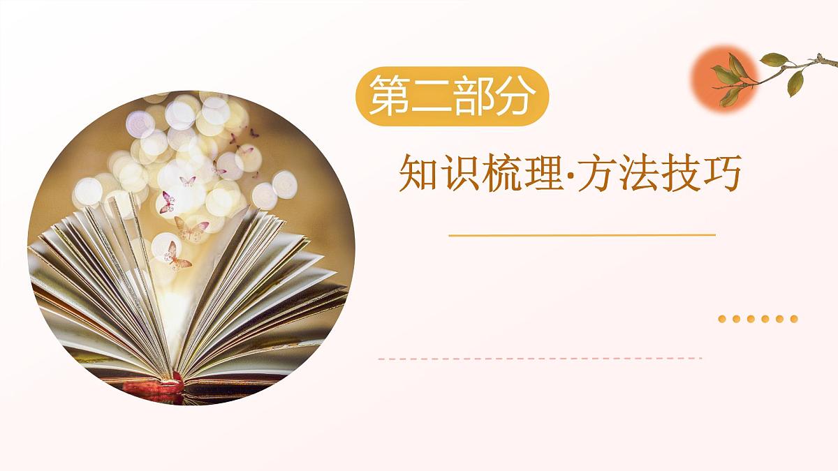 专题08：文学类文本阅读（考点串讲）2025学年八年级语文下学期期末考点大串讲统编版课件第7页