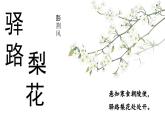 第14課《驛路梨花》+課件+2024—2025學(xué)年統(tǒng)編版語文七年級下冊