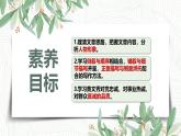 15 青春之光  課件 統(tǒng)編版（2024）初中語(yǔ)文七年級(jí)下冊(cè)