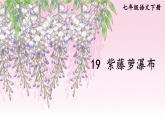 第19課《紫藤蘿瀑布》課件++2024-2025學(xué)年統(tǒng)編版語文七年級下冊