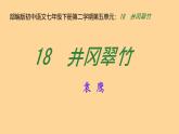 部編版初中語文七年級下冊第二學(xué)期第五單元：18 井岡翠竹 課件