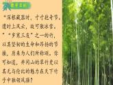部編版初中語文七年級下冊第二學(xué)期第五單元：18 井岡翠竹 課件