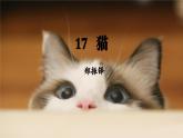 部編版2025-2026年第一學(xué)期 七年級(jí) 語文上冊(cè) 第五單元  17 貓  課件