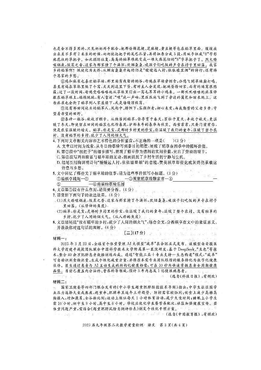 2025年安徽省阜阳市颍上县中考二模语文试题（中考模拟）第3页