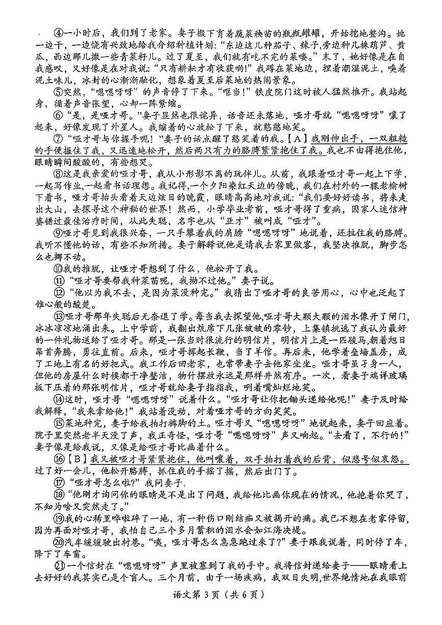 2025年河南省洛阳市第二次中招模拟考试语文试卷（中考模拟）第3页