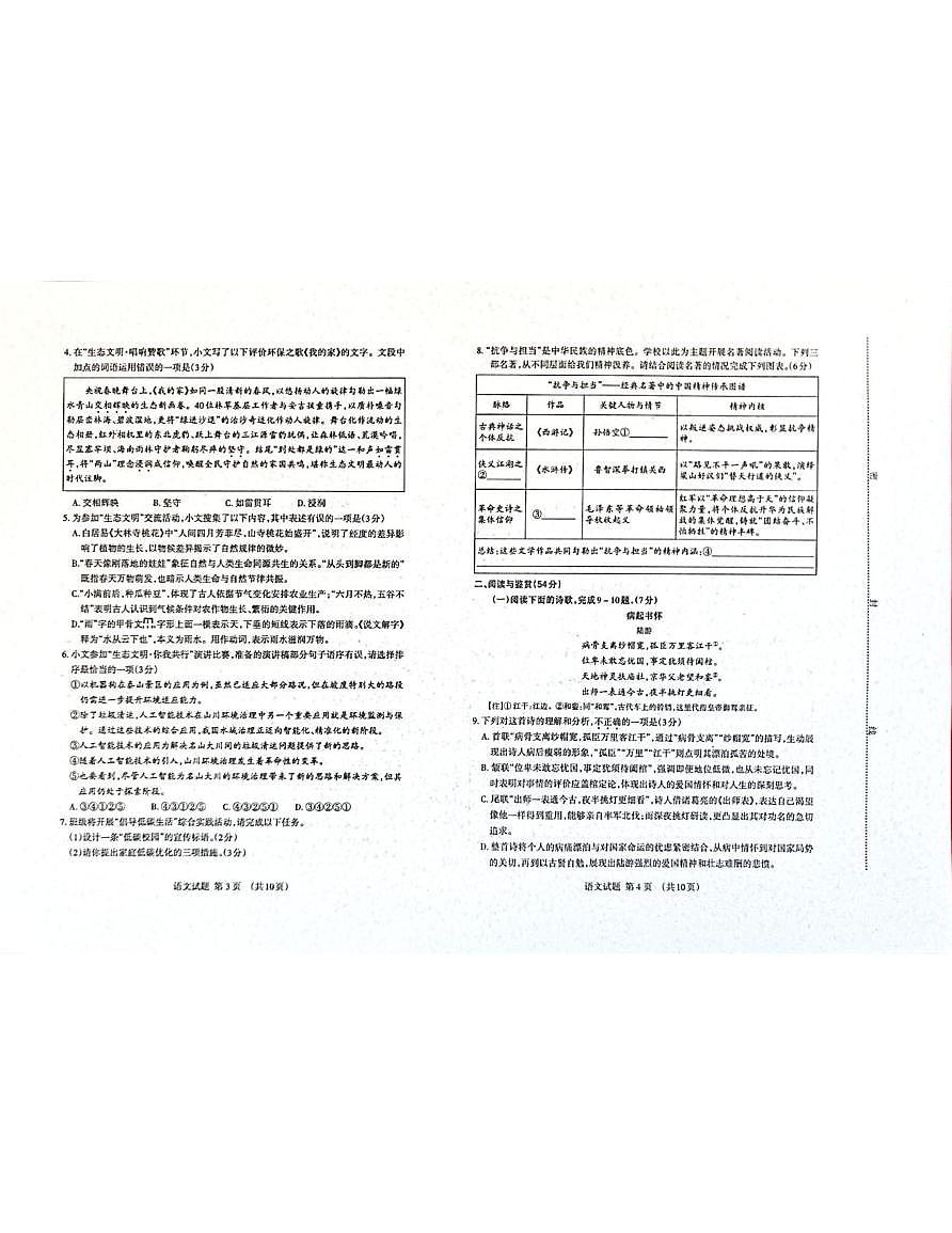 2025年山东省泰安市岱岳区中考二模语文试题（中考模拟）第2页