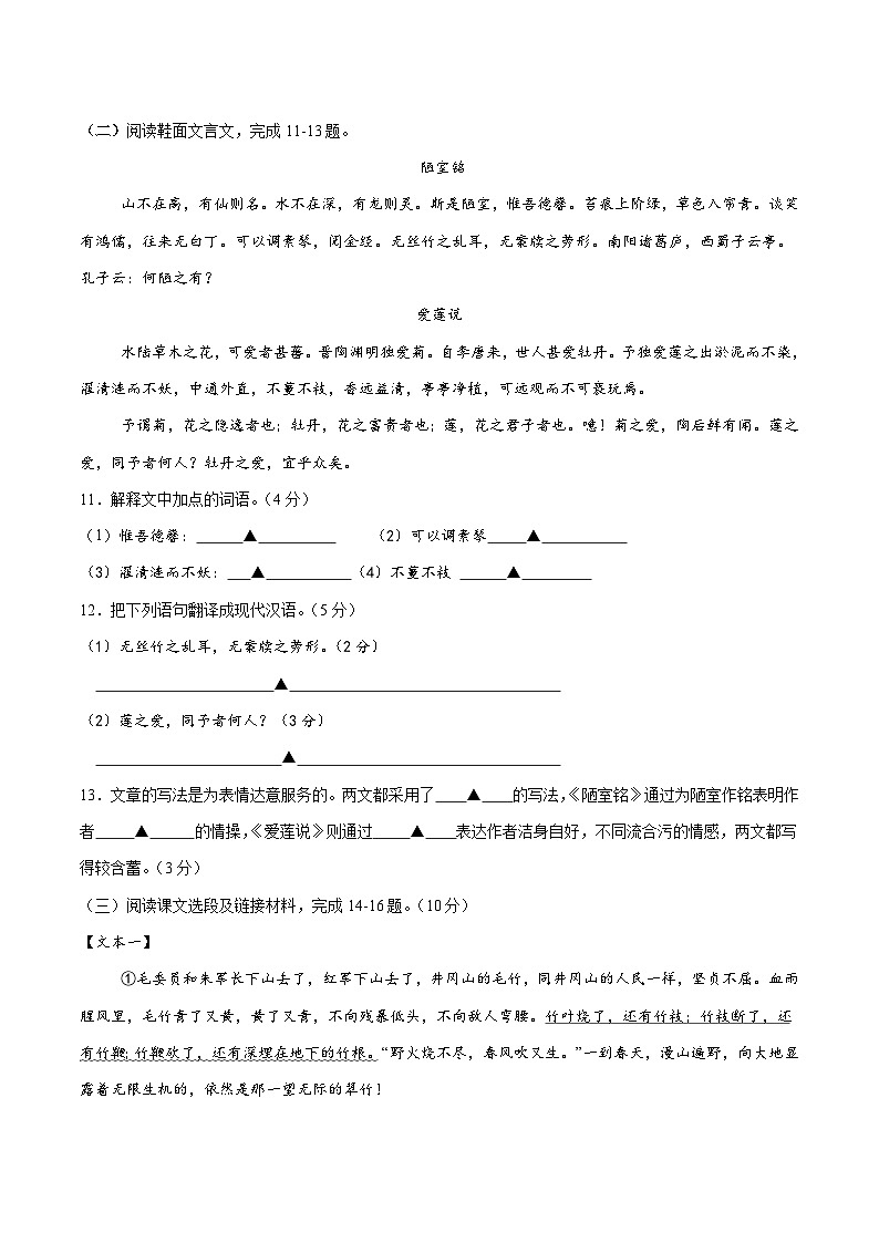江苏省镇江市丹徒区茅以升学校集团五校2024-2025学年七年级下学期5月月考语文试卷（含答案）第3页