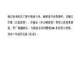 第四單元 整本書閱讀 課件 統編版八年級語文上冊