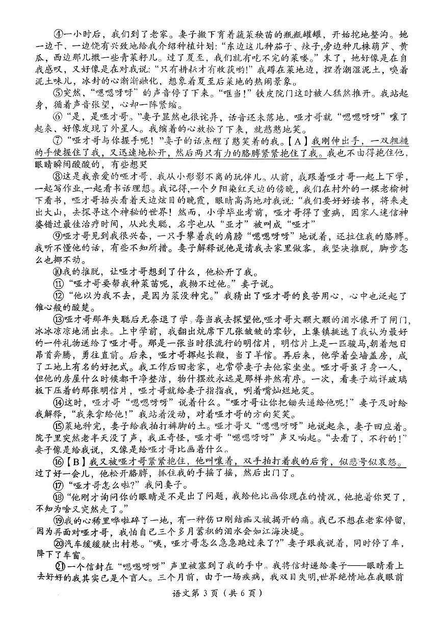 2025年河南省洛阳市第二次中招模拟考试语文试卷（pdf版含答案）第3页