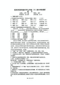 辽宁省沈阳市虹桥初级中学2024-2025学年七年级下学期期中考试 语文试题