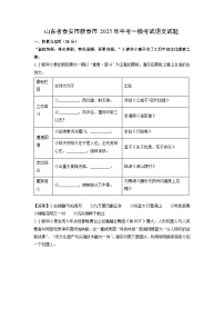 山东省泰安市新泰市2025年中考一模考试语文试题（解析版）